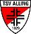 TSV Alling NM 9er