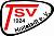 (SG) TSV Hollstadt
