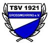 TSV Großmehring 3
