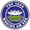 TSV Waging a.See