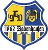 TSV 1862 Babenhausen 1