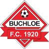 (SG) FC Buchloe 2