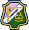 (SG) 1. FC Schmidgaden