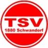 SG TSV 1880 Schwandorf I /<wbr> ASV Fronberg I