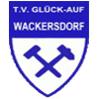 1. Futsal Club Schwandorf/<wbr>Wackersdorf