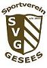 SG 1 SV Gesees/<wbr>TSV Mistelbach 2