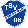 (SG) TSV Behringersdorf II