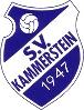 SV Kammerstein II