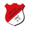 (SG) SpVgg Gülchsheim 2 (a.K.) o.W.