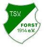 (SG)TSV Forst II/<wbr> SG Hausen /<wbr> DJK Marktsteinach