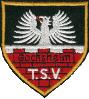 TSV Gochsheim III