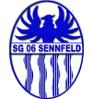(SG) SG Sennfeld/<wbr>TSV Gochsheim