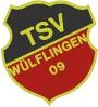 SG TSV Wülflingen/<wbr> FC Haßfurt II