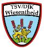 TSV/DJK Wiesentheid 1905