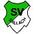 (SG) SV Sallach I