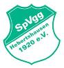 SpVgg Hebertshausen U8