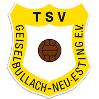 TSV Geiselbullach II