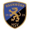 SV Ingolstadt-<wbr>Haunwöhr