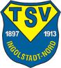 TSV Ingolstadt Nord III zg.