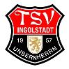 TSV Ingolstadt-<wbr>Unsernherrn II