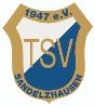 TSV Sandelzhausen I