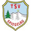 (SG) TSV 1924 Spiegelau