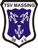 TSV 08 Massing I