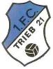 1. FC Trieb