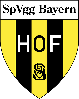 SpVgg Bayern Hof 3