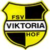 (9er)FSV Viktoria Hof II