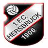 SG 1. FC Hersbruck II / SV Eintracht Hersbruck I zg.