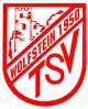 TSV Wolfstein 2