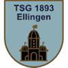 TSG 1893 Ellingen