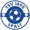 TSV Spalt II 9er