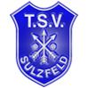 TSV 1889 Sulzfeld/Main 9/9