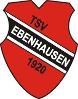(SG) TSV Ebenhausen (9:9)