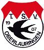 TSV Oberlauringen