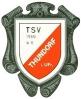 TSV Thundorf II