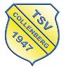 (SG) TSV 1947 Collenberg 2